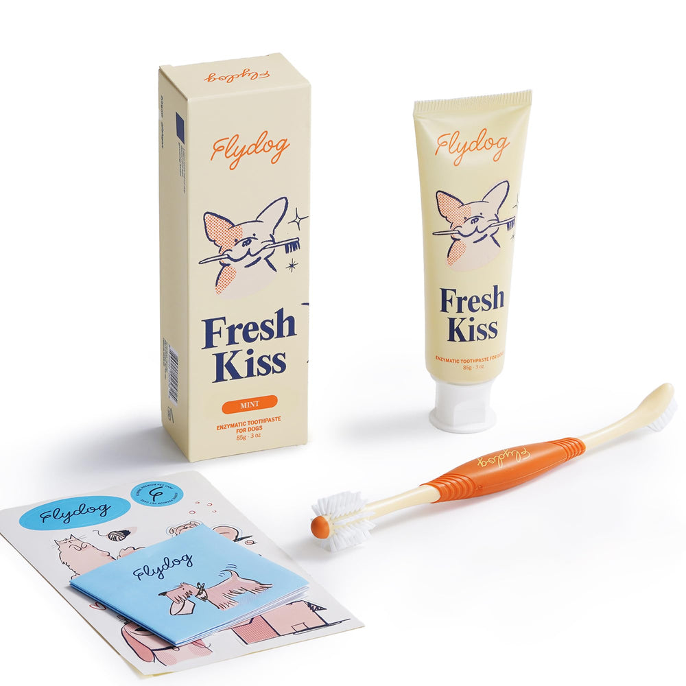 Flydog packaging avant montrant kit complet pour un soin dentaire facile