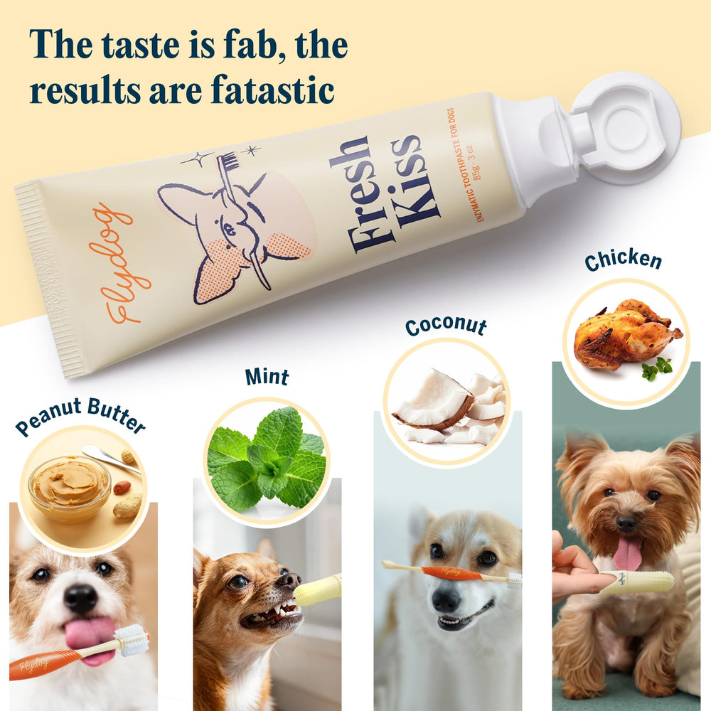 FlyDog kit en usage sur chien, démonstration d'un brossage calme et efficace