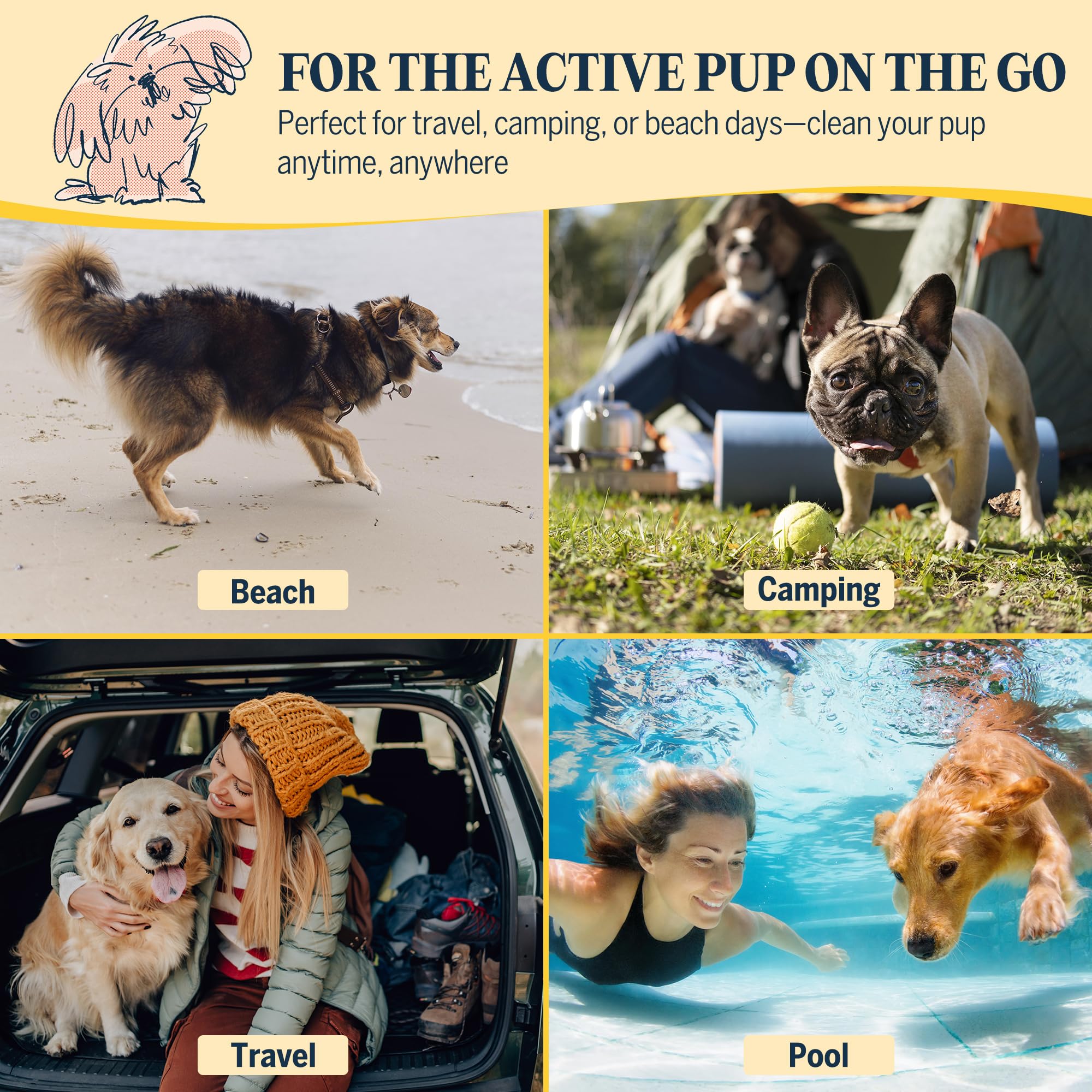 Flydog mise en situation extérieur après promenade, contrôle des odeurs