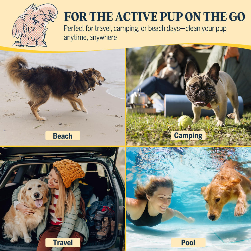 Flydog mise en situation extérieur après promenade, contrôle des odeurs