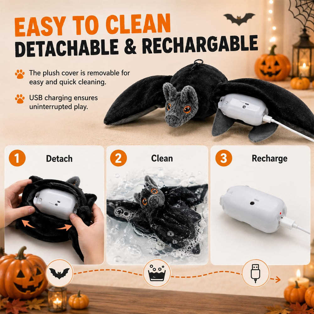 Generic chat en train de chasser la chauve‑souris montrant exercice actif