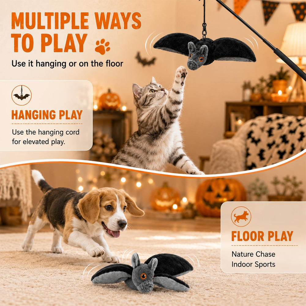 Generic comparaison d'échelle montrant taille adaptée pour chats et petits chiens