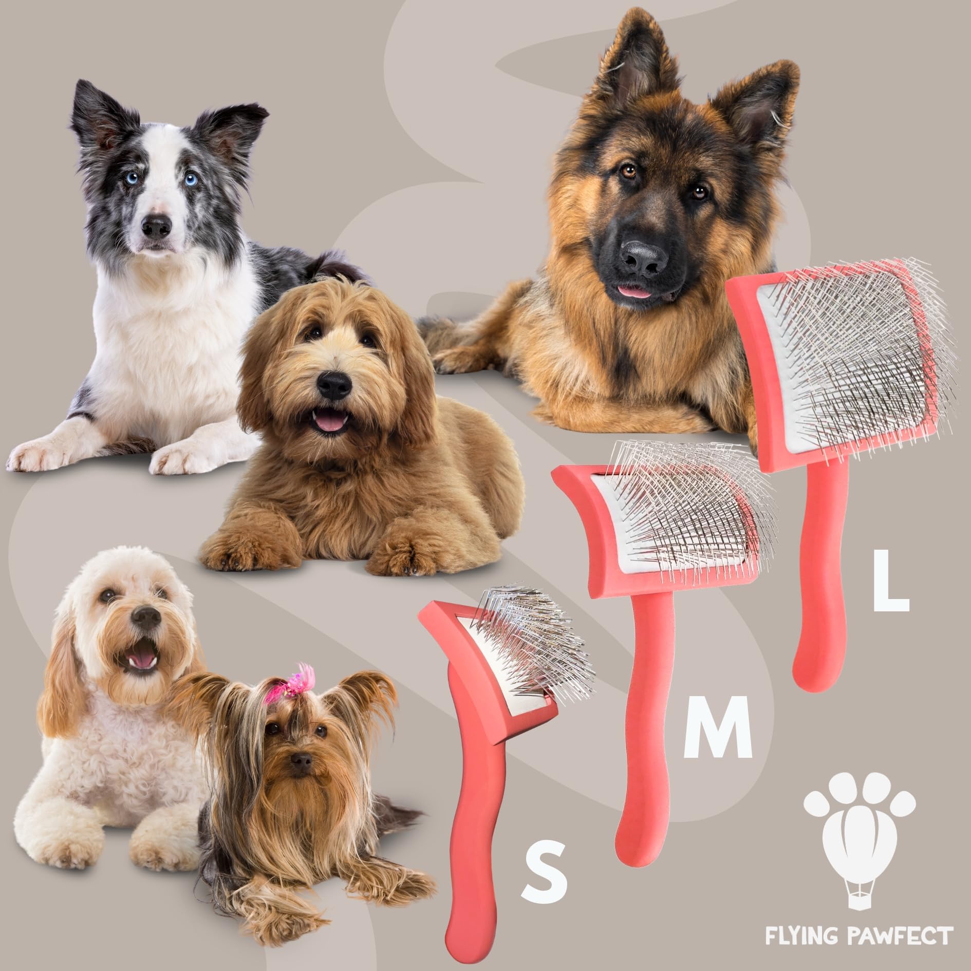Flying Pawfect brosse utilisée sur un poodle pour démêler sans tirer et apaiser