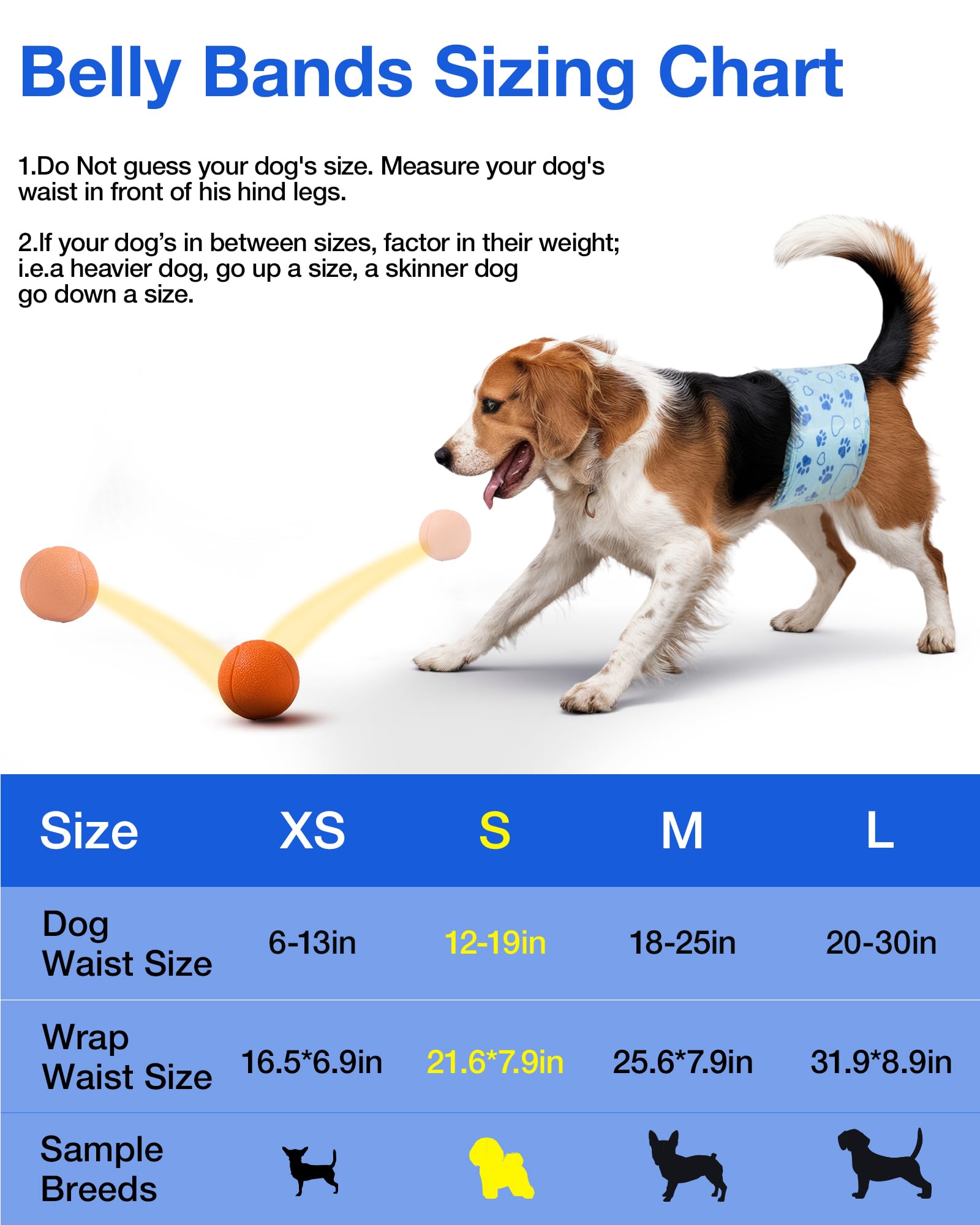 Flying Paws bande portée sur chien mâle pour confort et maintien