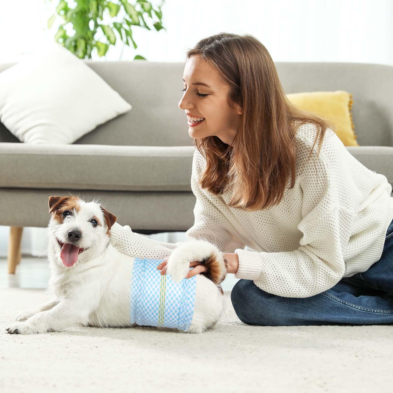 Flying Paws boîte de 40 unités posée pour stocker protection quotidienne