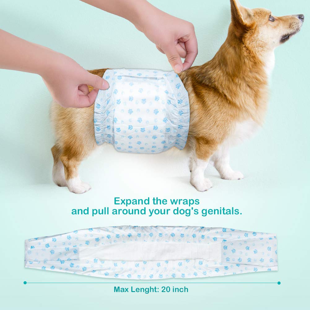 Flying Paws ceinture posée sur chien en mouvement pour protection fiable