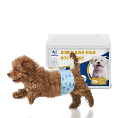 Flying Paws devant emballage montrant paquet pratique et quantité