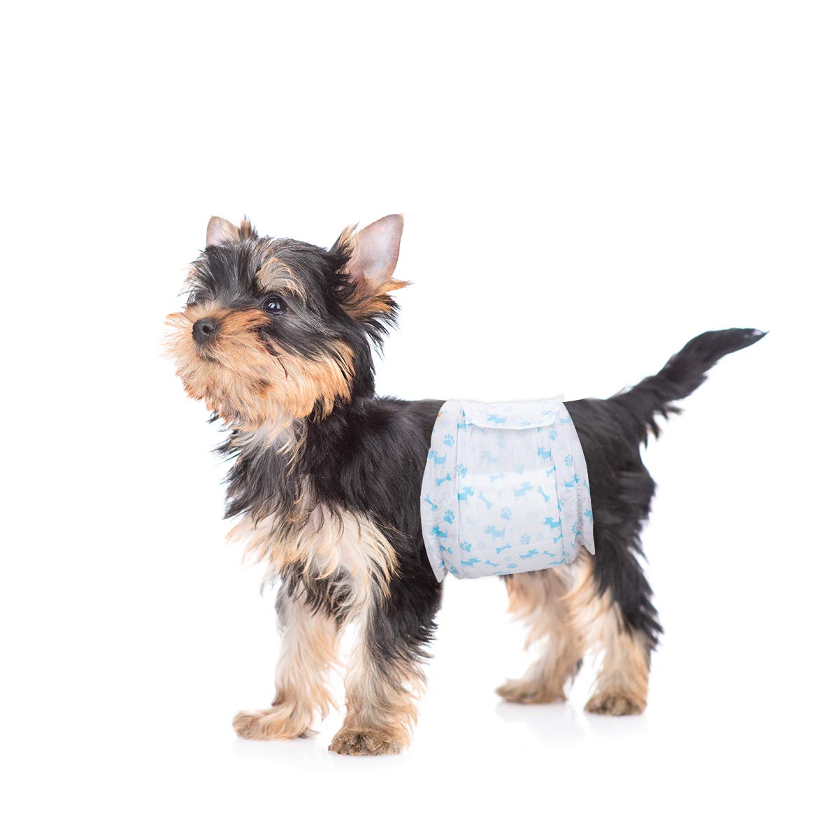 Flying Paws devant packaging montrant 60 unités, pratique pour stocker