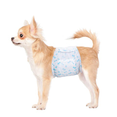 Flying Paws emballage frontal montrant quantité et gain pratique
