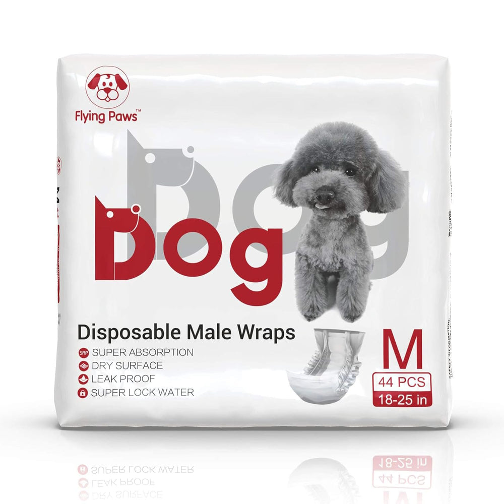 Flying Paws scène de vie au salon pour confort et propreté