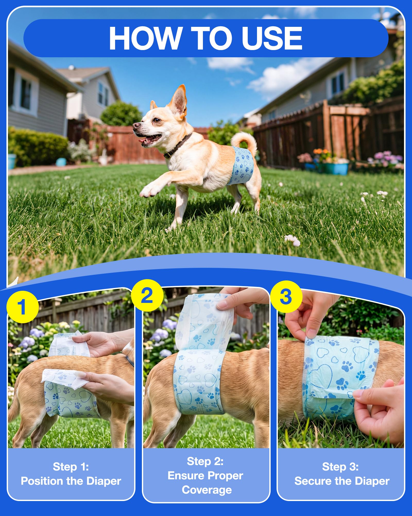 Flying Paws comparaison de taille sur un chien XS montrant l'ajustement parfait