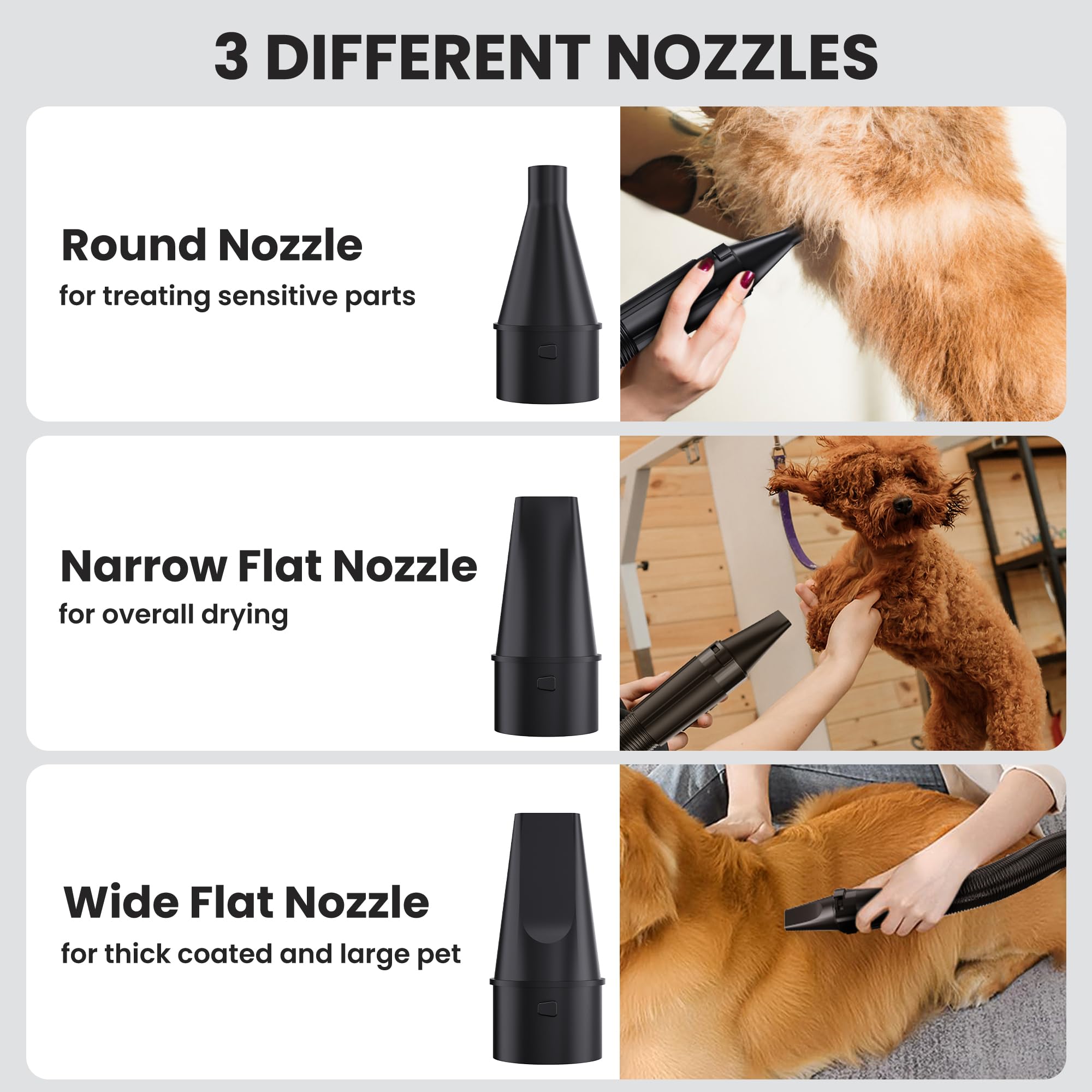 Flying Pig appareil en usage sur chien pour séchage efficace du pelage