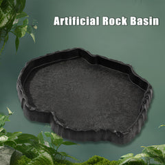 Flylin gamelle comparaison taille montrant proportions pour terrarium