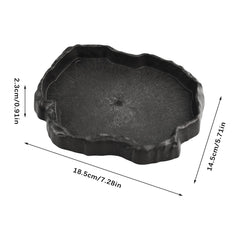 Flylin gamelle en usage avec tortue illustrant accès facile à l'eau