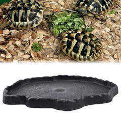 Flylin gamelle en usage dans terrarium avec reptile montrant praticité