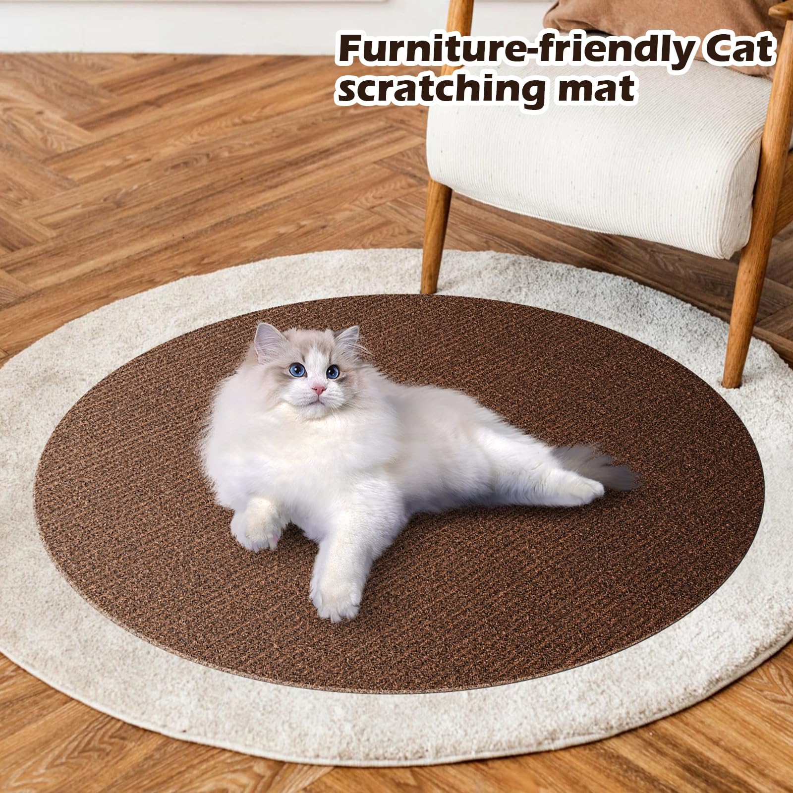 Fmelut mise en situation salon chat utilisant le tapis réduit les dégâts