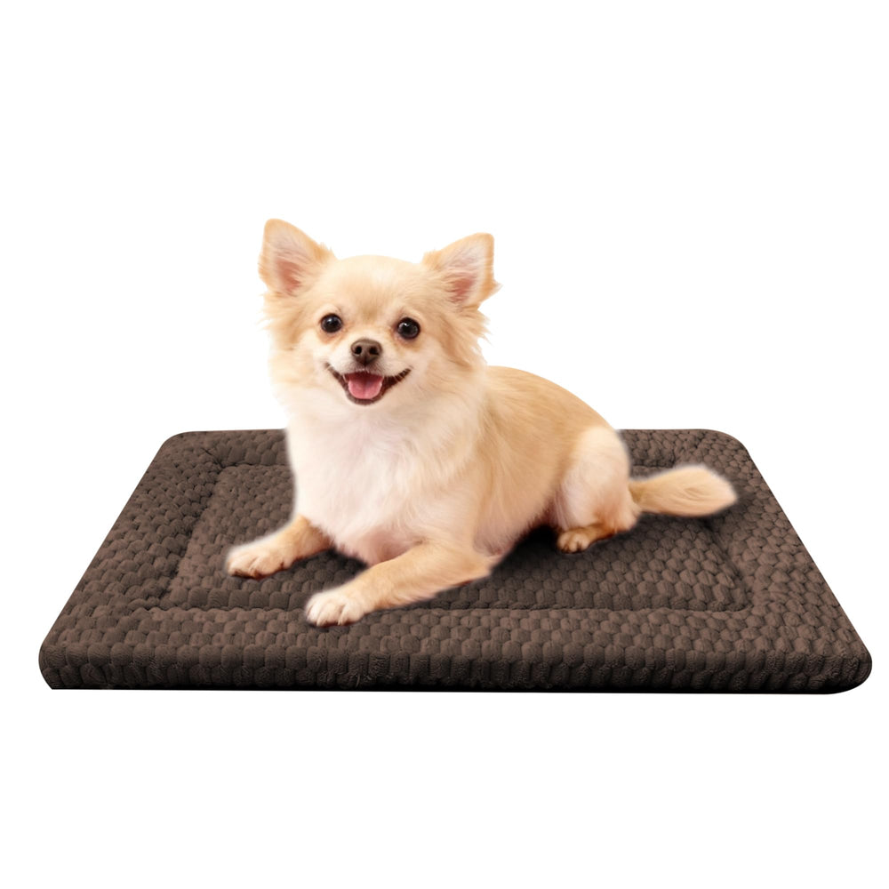 Fogkiss vue avant du matelas pour chien, confort immédiat en caisse