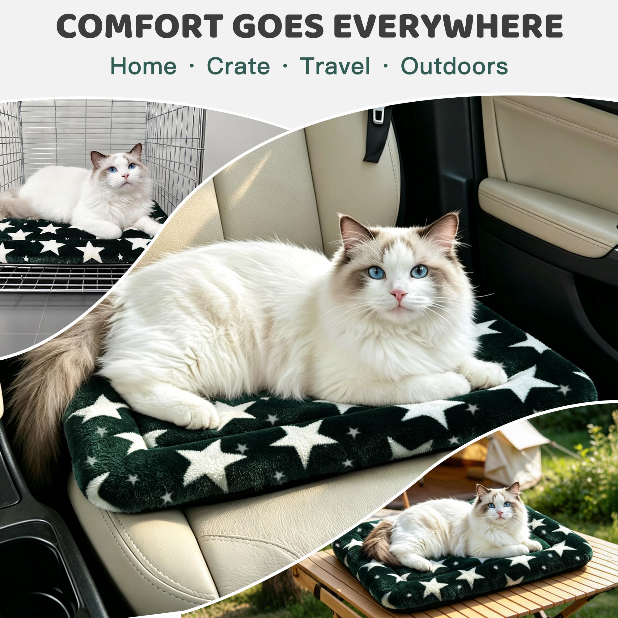 Fogkiss tapis comparaison taille avec objet, Fogkiss montre dimensions compactes