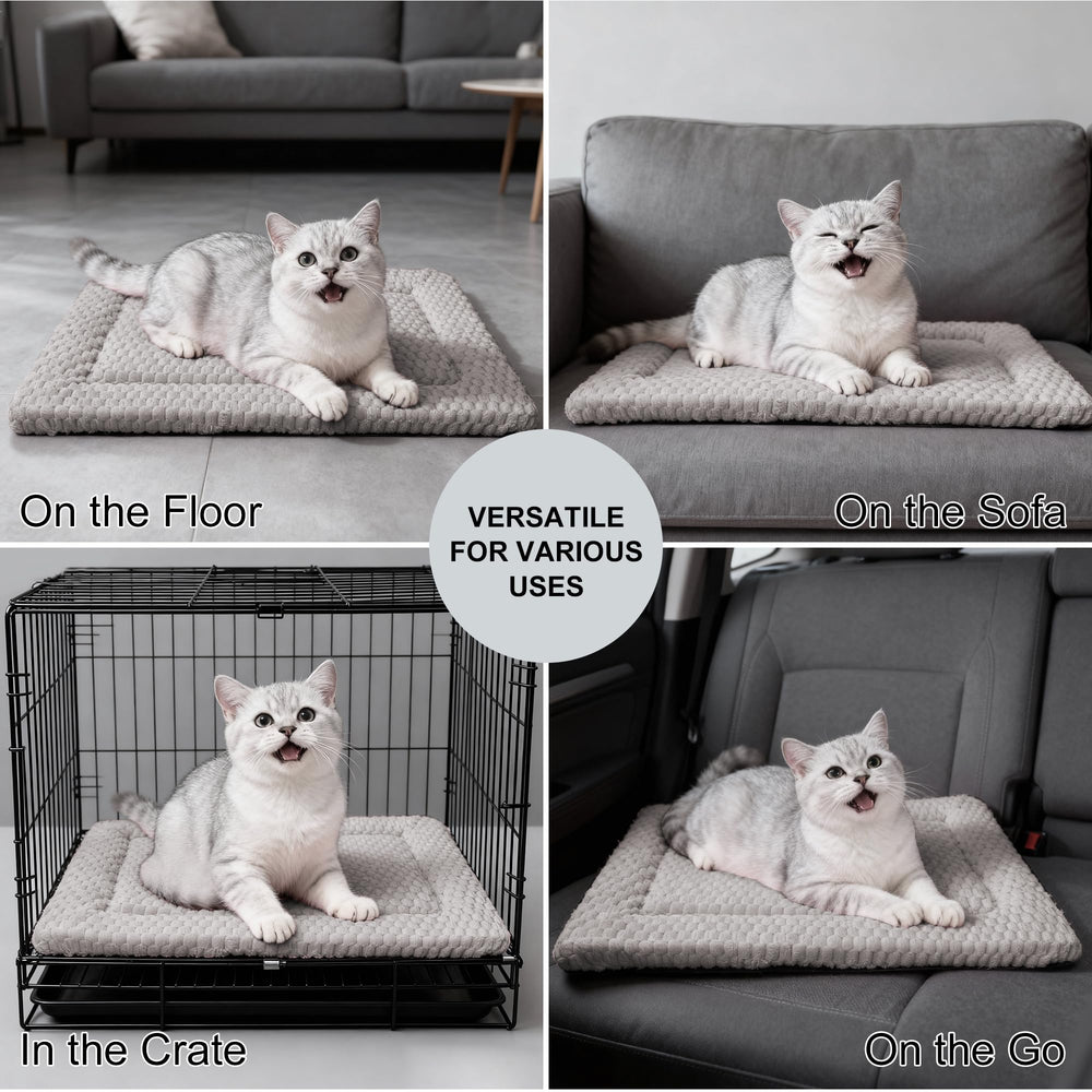 Fogkiss tapis près d'une règle montrant dimensions précises pratiques