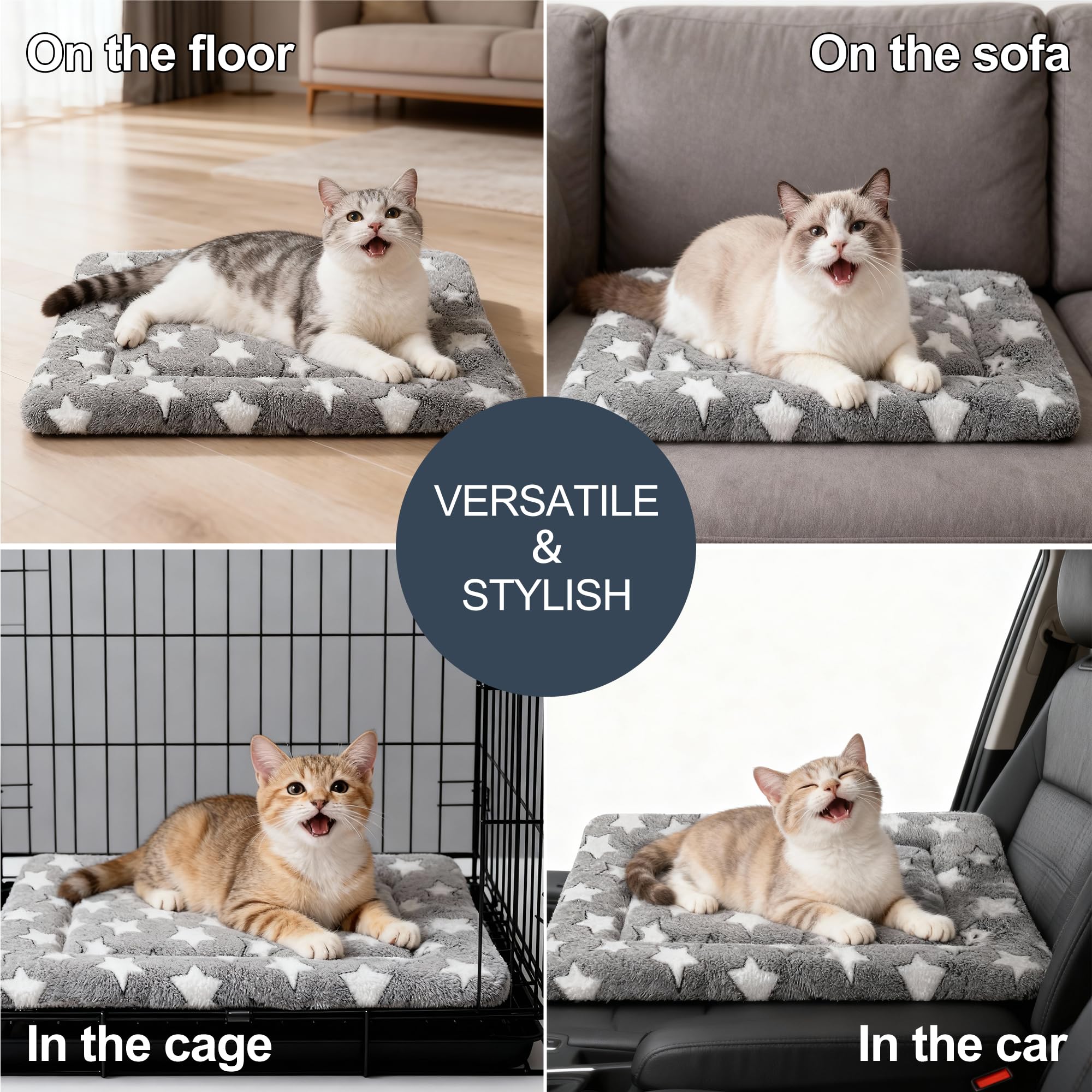 Fogkiss comparaison d'échelle montrant taille adaptée pour petits animaux