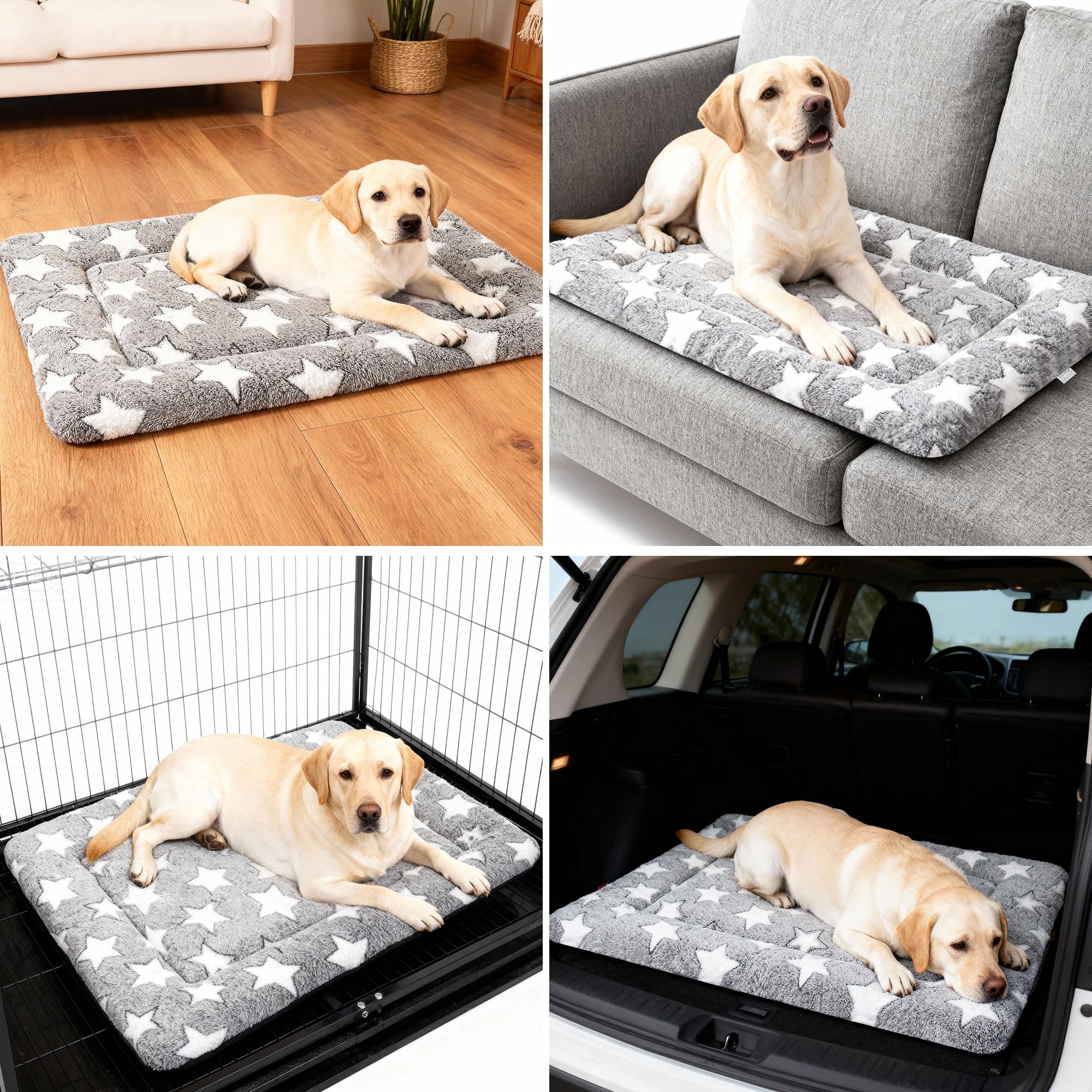Fogkiss tapis dans salon crée coin repos cozy et propre