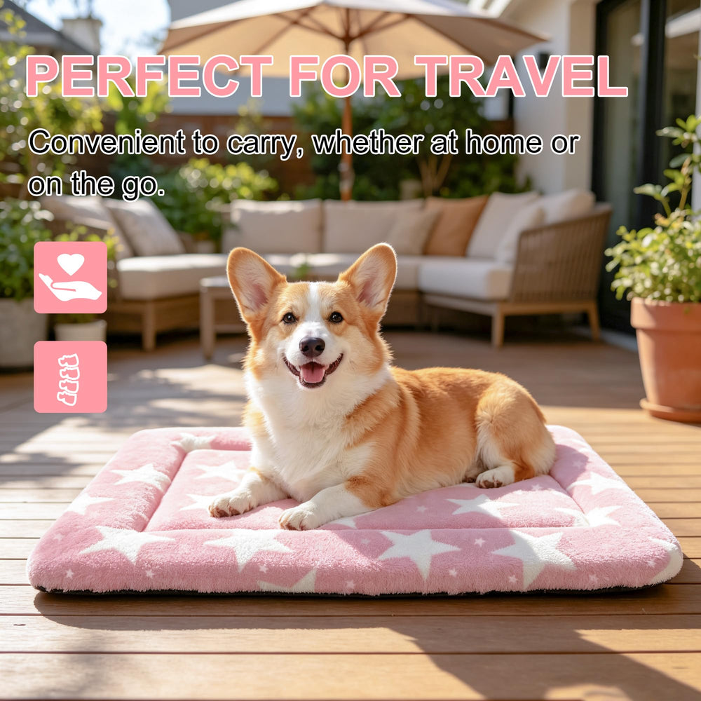 Fogkiss tapis en salon avec chiot montrant accueil et détente