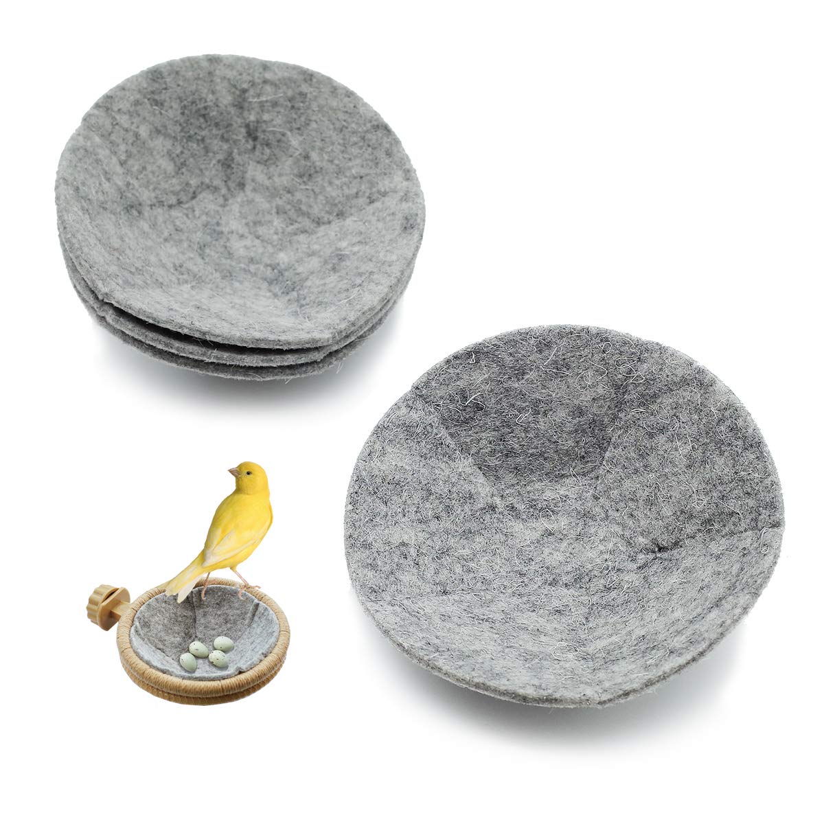 FOIBURELY coussins face avant montrant lot de 4 et confort intérieur