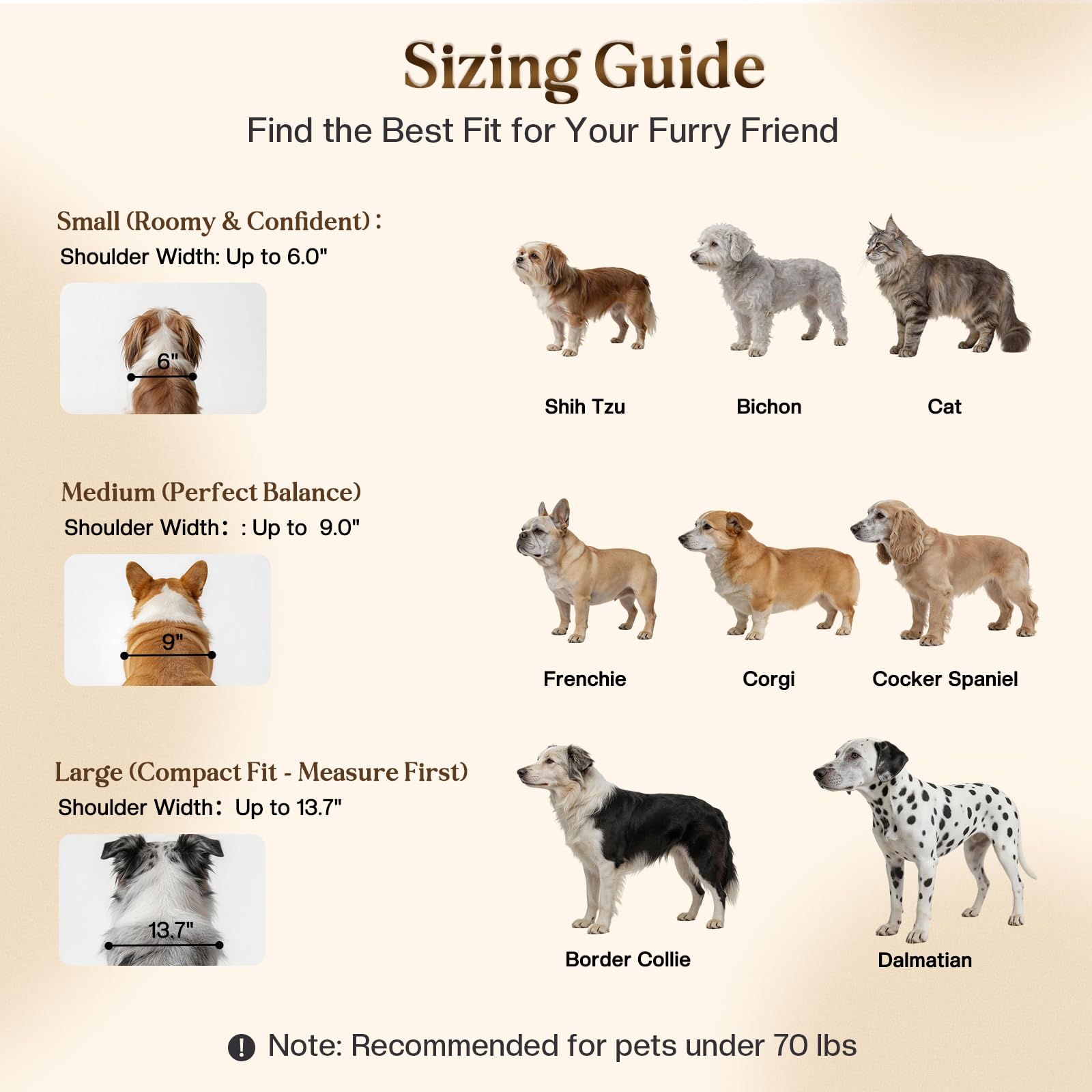 FolifrPets comparaison taille montre adaptée aux chiens moyens