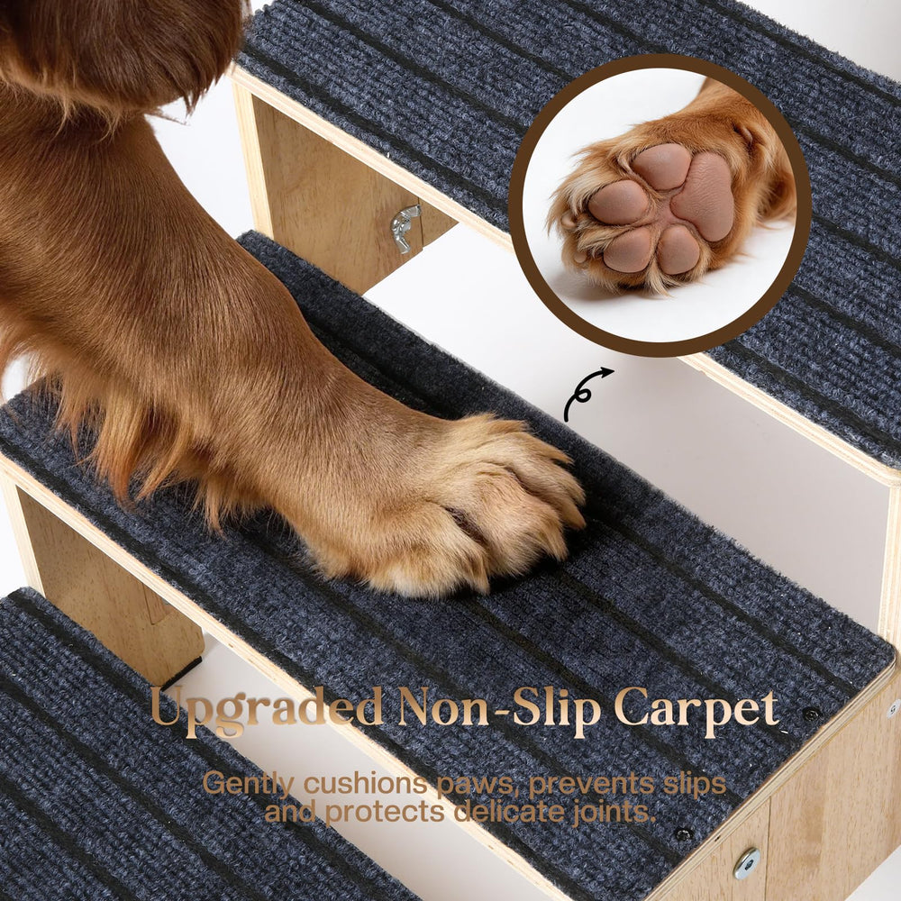 FolifrPets chien monte lit utilisant escalier pour moins d'effort