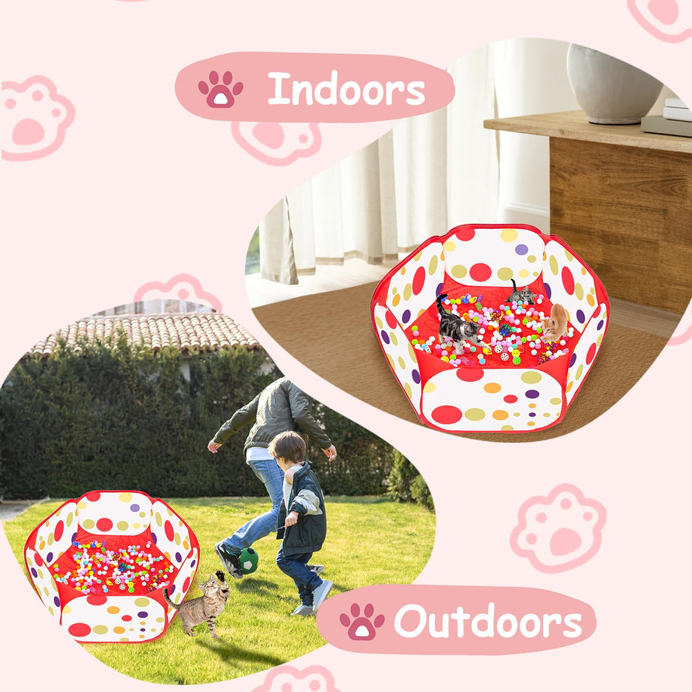 fooind comparaison taille entre chat et bac montrant espace de jeu adapté