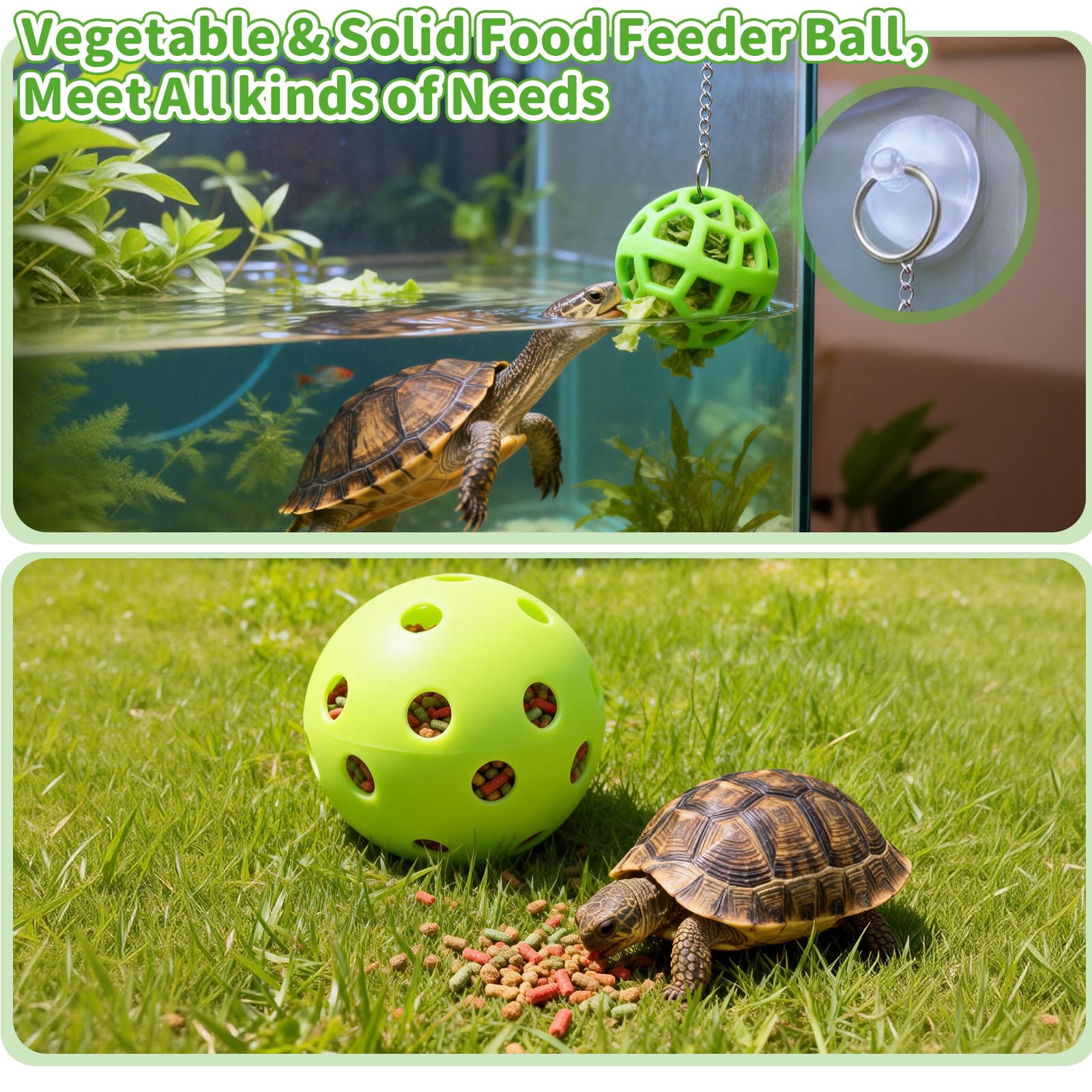 fooind skatedball vue de profil soulignant mouvement et stimulation physique