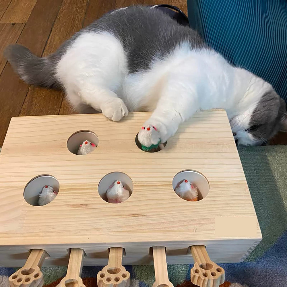 FOOPOMARY emballage cadeau prêt à offrir, idée pour propriétaires de chats