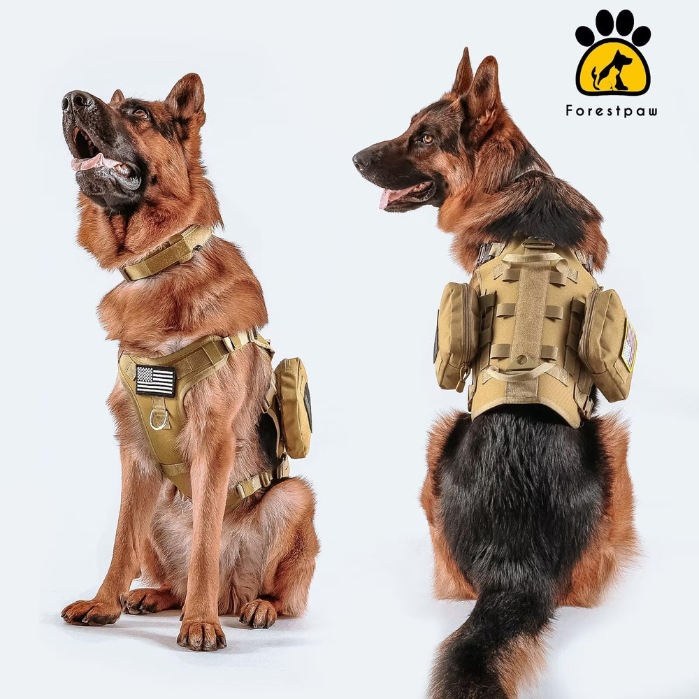 Forestpaw boucles et coutures renforcées illustrant durabilité pour usage intensif