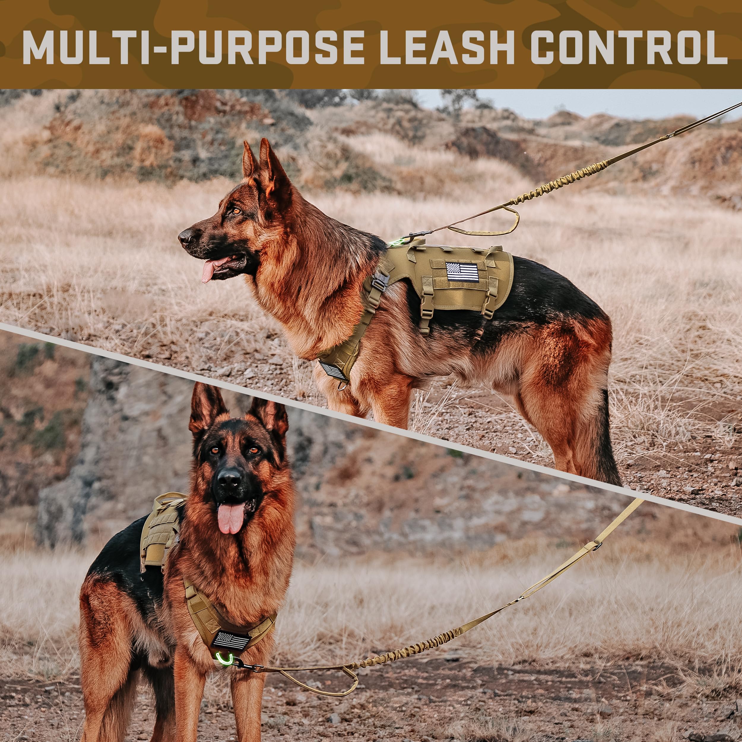 Forestpaw collier assorti et laisse bungee absorbant chocs pour promenades calmes