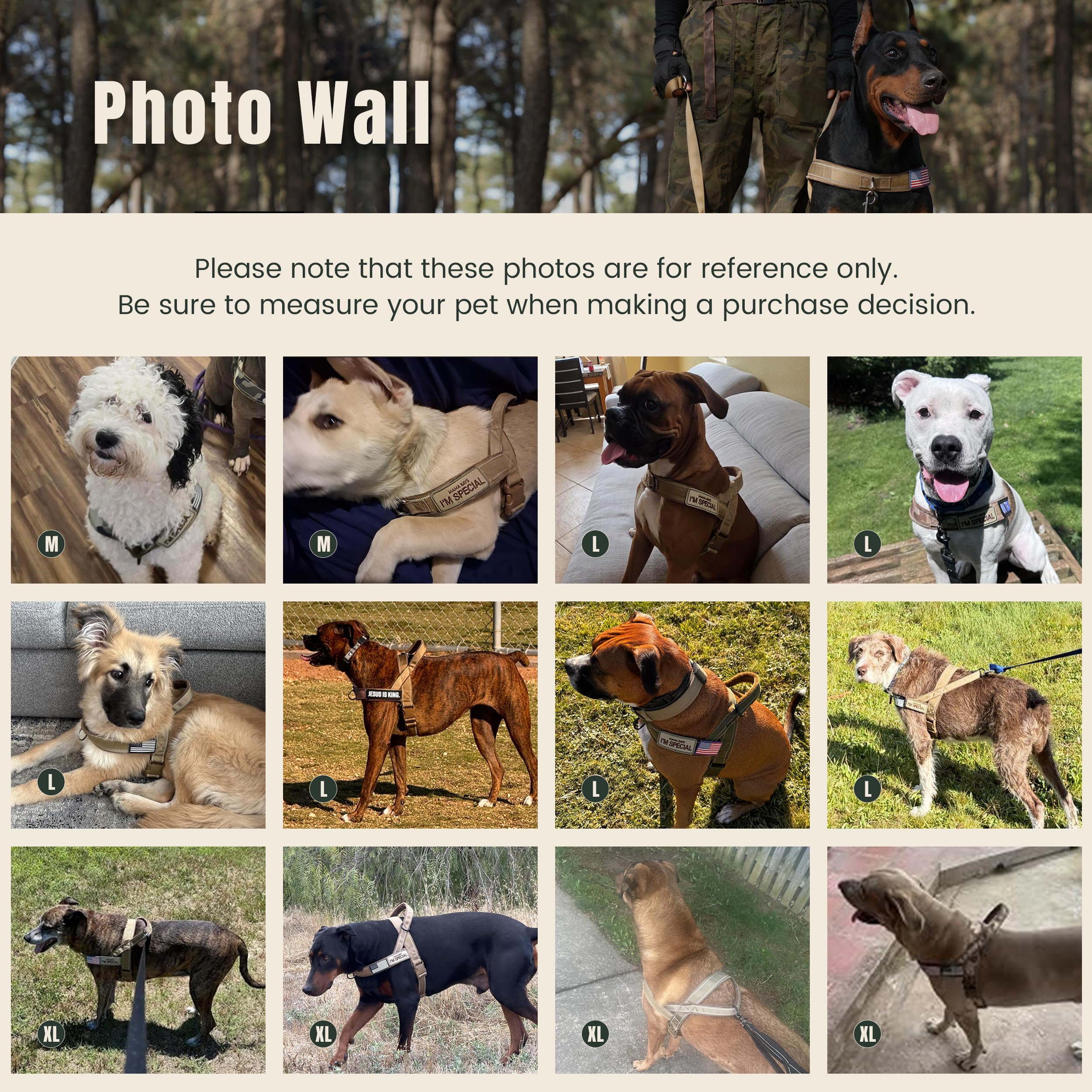 Forestpaw comparaison taille harnais à l'échelle pour choix précis
