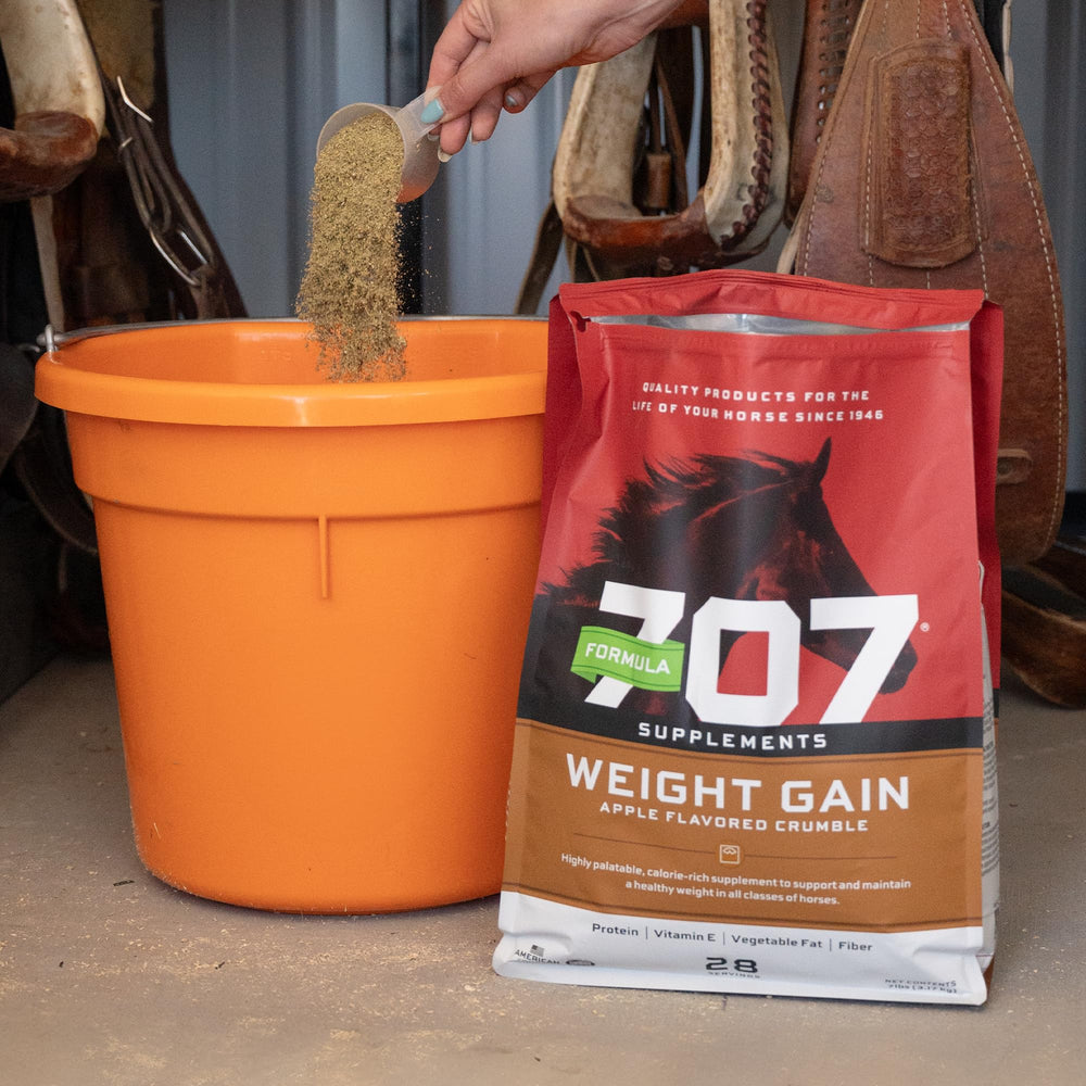 Formula 707 cheval mange le crumble démontrant appétence et prise de calories