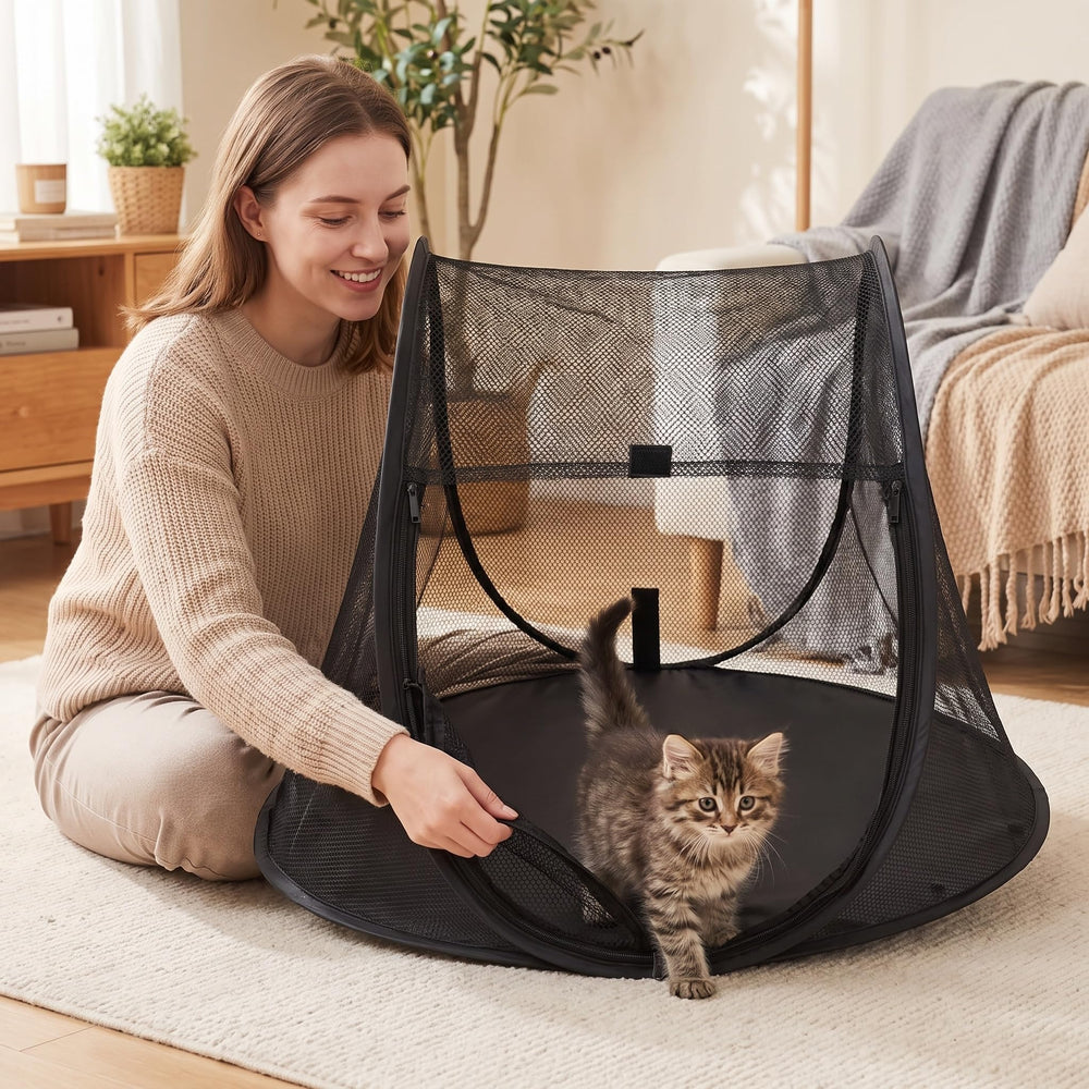 Fortexus comparaison d'échelle avec un chat pour illustrer l'espace disponible