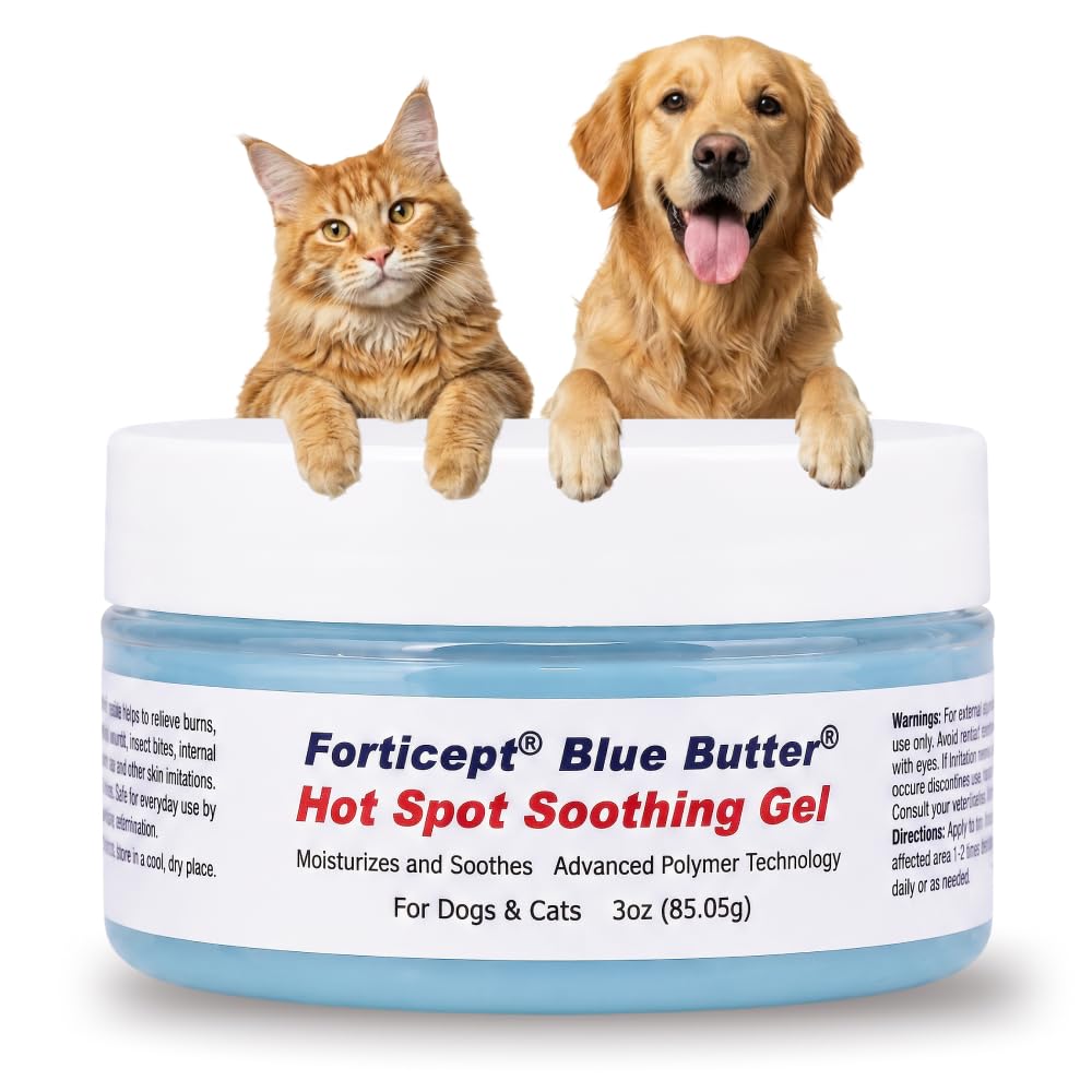Forticept emballage avant montrant le tube Blue Butter Gel et bénéfice apaisant