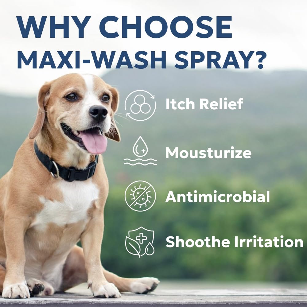 Forticept spray sur petite plaie de chien pour nettoyage rapide et sûr