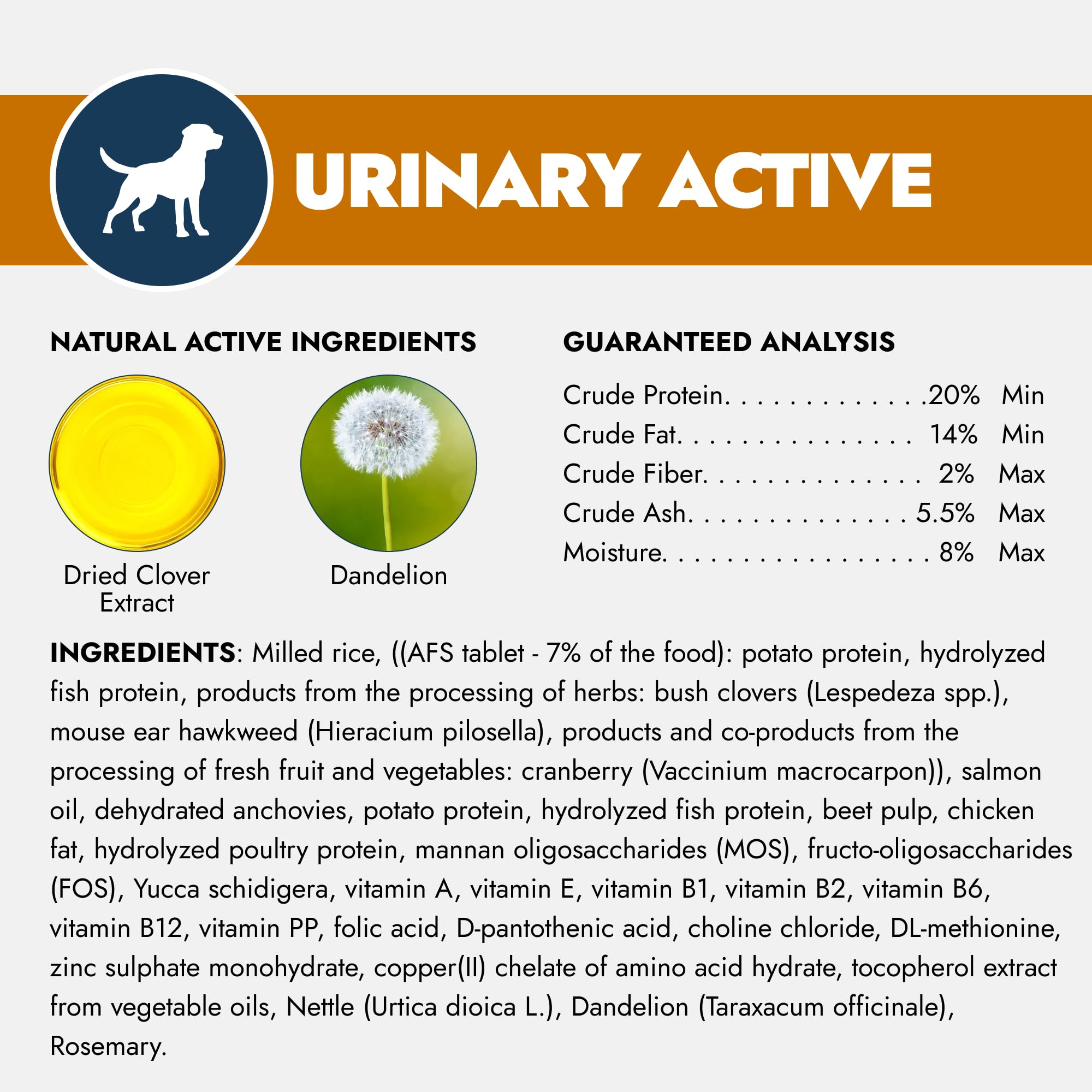 Forza10 chien qui mange confortablement apport nutritionnel quotidien