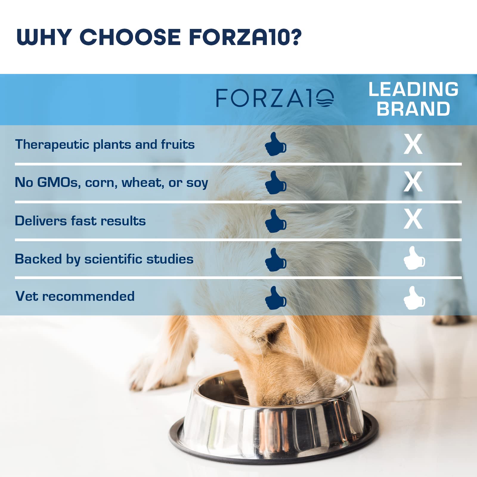 Forza10 portion servie dans un bol mélangée aux croquettes pour complément