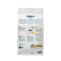 Forza10 gros plan sur croquettes montrant texture digestible