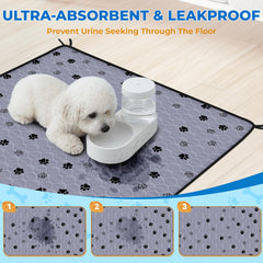 Fostanfly vue de la couche absorbante, absorption forte