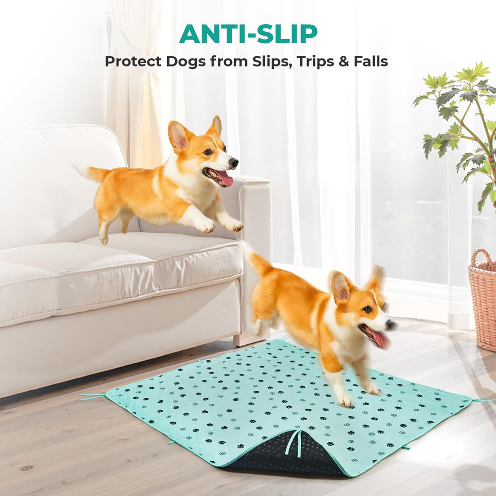 Fostanfly tapis fixé dans une caisse de transport pour voyages sans fuite