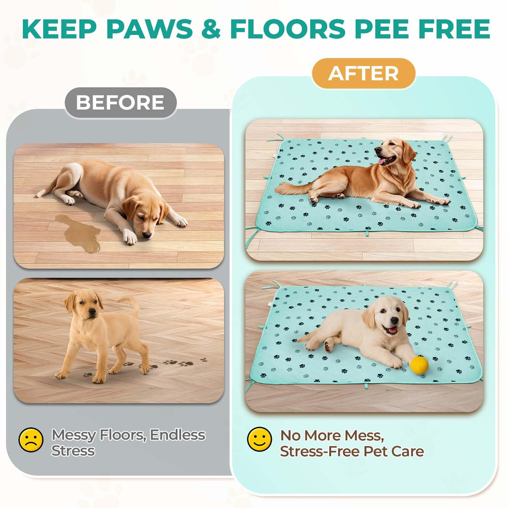 Fostanfly tapis posé sur plancher en bois protégeant contre les dégâts d'urine