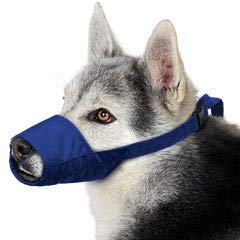 Four Flags muselière Quick Muzzle taille L face avant montrant ajustement sûr et confort