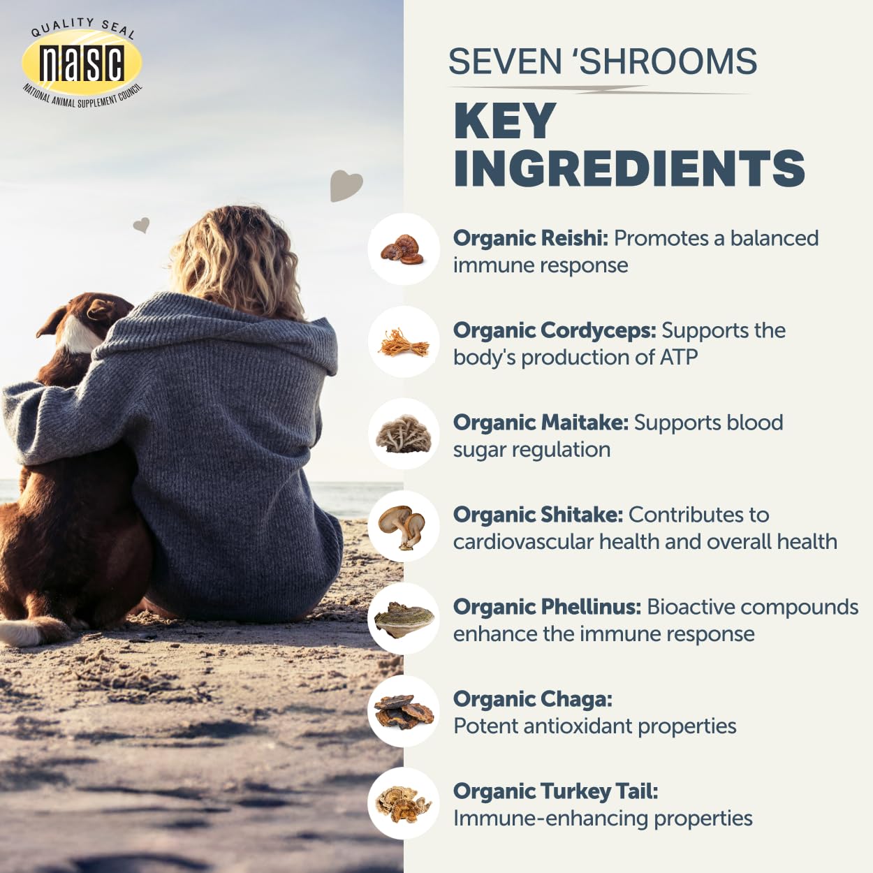 Four Leaf Rover assortiment de champignons entiers montrant origine naturelle saine