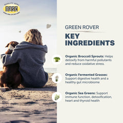 Four Leaf Rover pot ouvert avec contenu visible pour dosage pratique