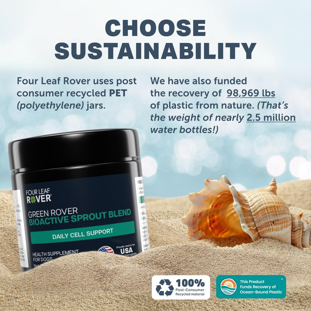 Four Leaf Rover scène domestique montrant l'intégration quotidienne au repas du chien