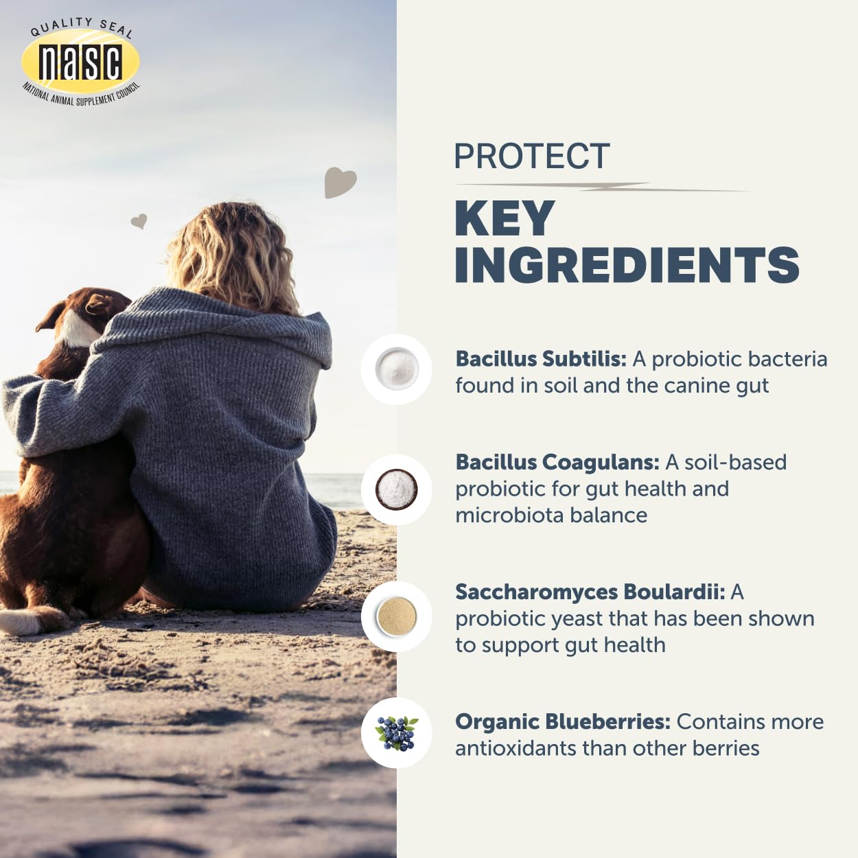 Chien grand mangeant avec Four Leaf Rover montrant soutien digestif quotidien